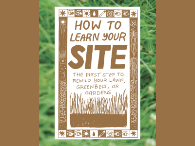 How to learn your site