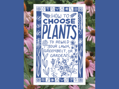 How to choose plants