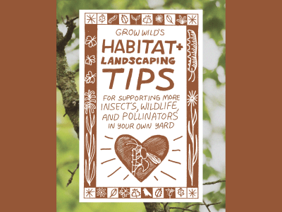 Habitat and landscaping tips