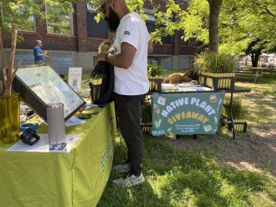 Plant Giveaway at the farmers market