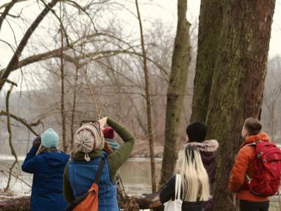 bioblitz people in the floodplain forest