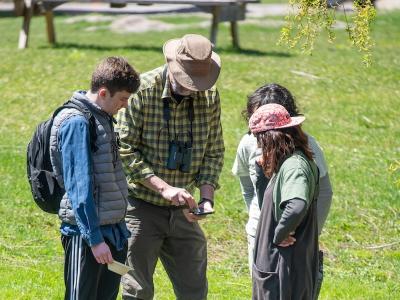 Participants using iNaturalist