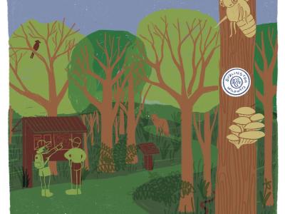 Learn about open space and nature-based climate solutions in Burlington