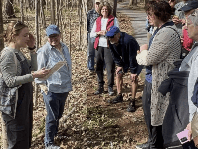 spring ephemeral wildflowers at Ethan Allen park