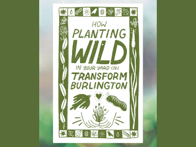 How planting wild can transform burlington