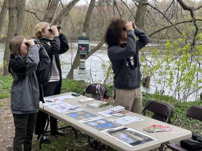 Looking through binoculars at Intervale