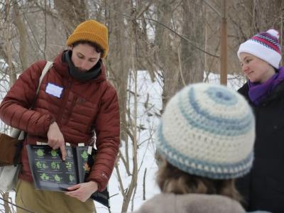 Tree identification walk