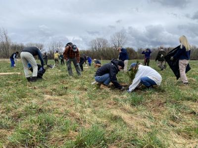 volunteers planting trees at the Ethan Allen Homestead