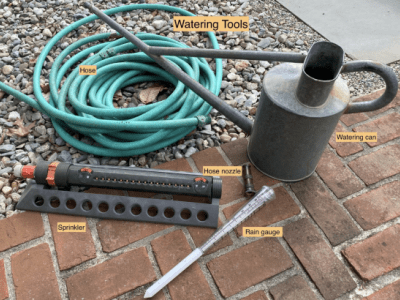 new plant watering guide