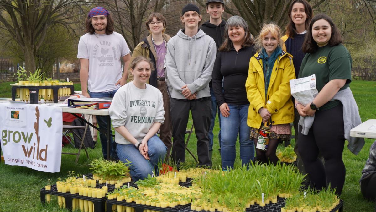 Native Plant giveaway