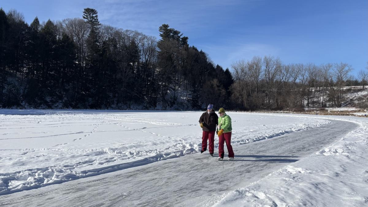 ice skaters at Arthur Park