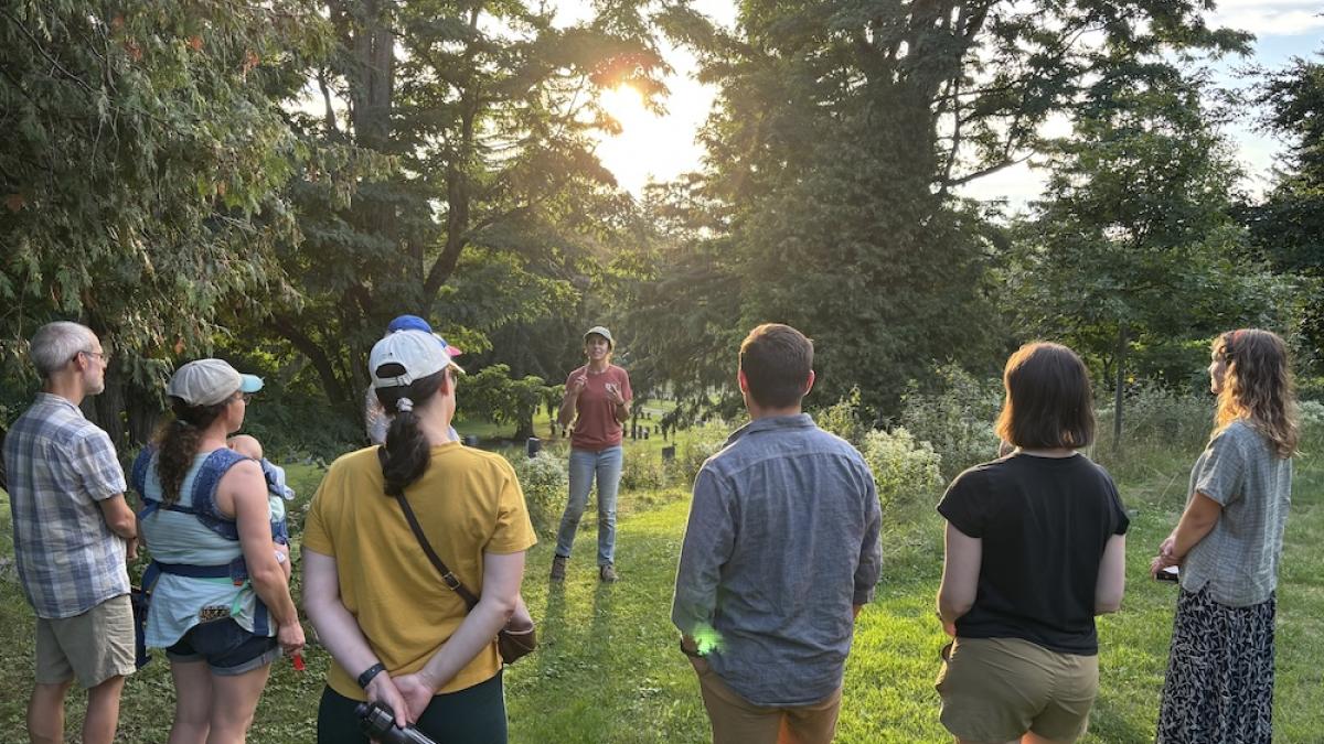 Tour group at medium height meadow