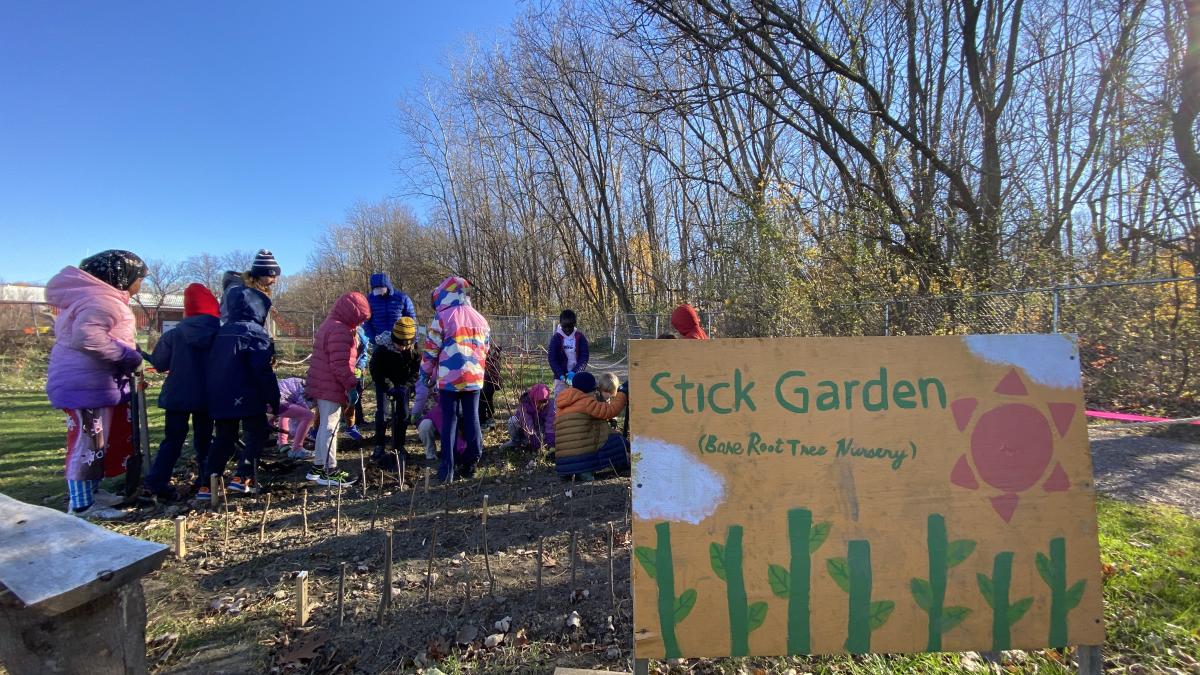 stick garden