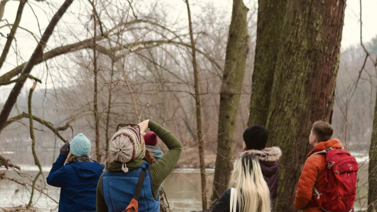 bioblitz people in the floodplain forest
