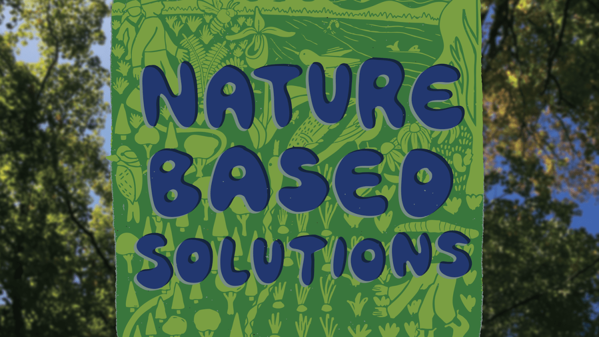  Nature based climate solutions