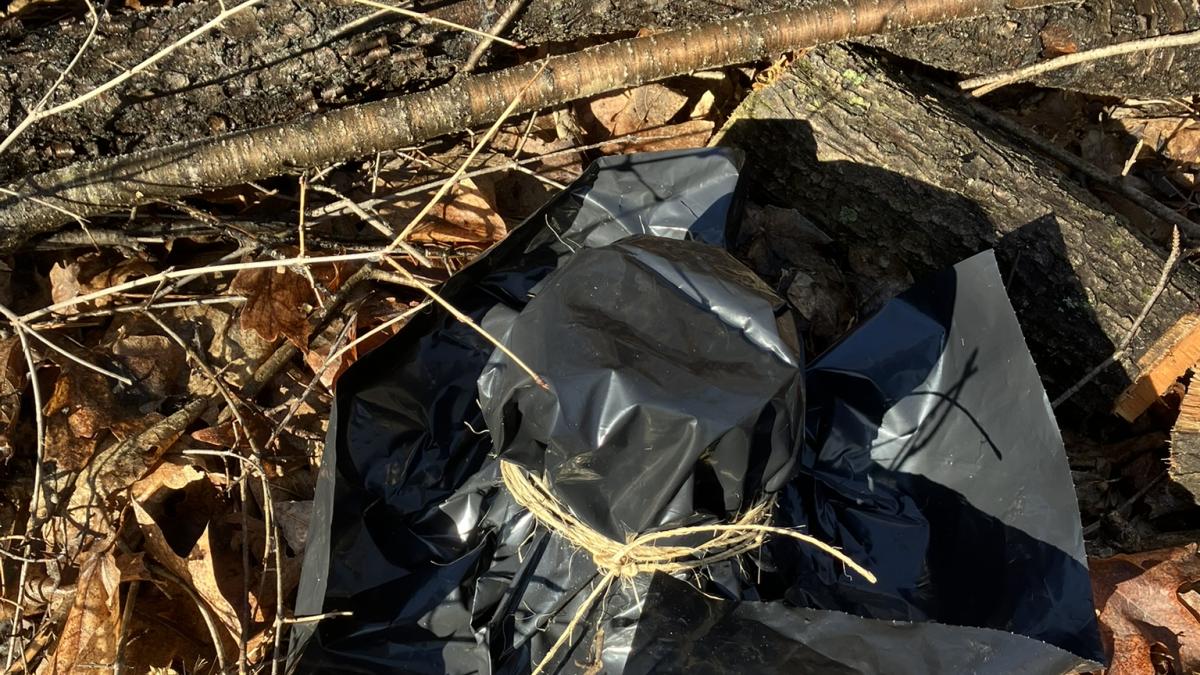 bagged buckthorn
