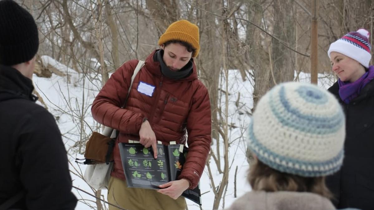 Tree identification walk