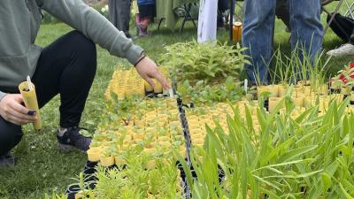 native plant giveaway selection