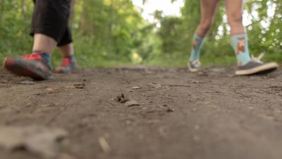 walking feet on the trail