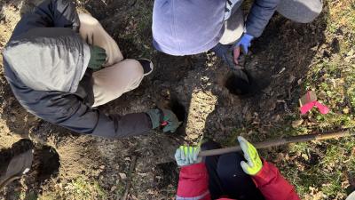 students digging holes