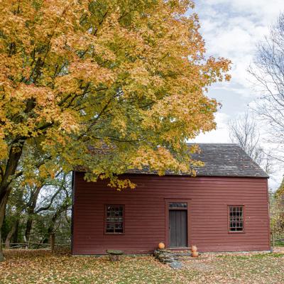 The Allen House among fall foliage